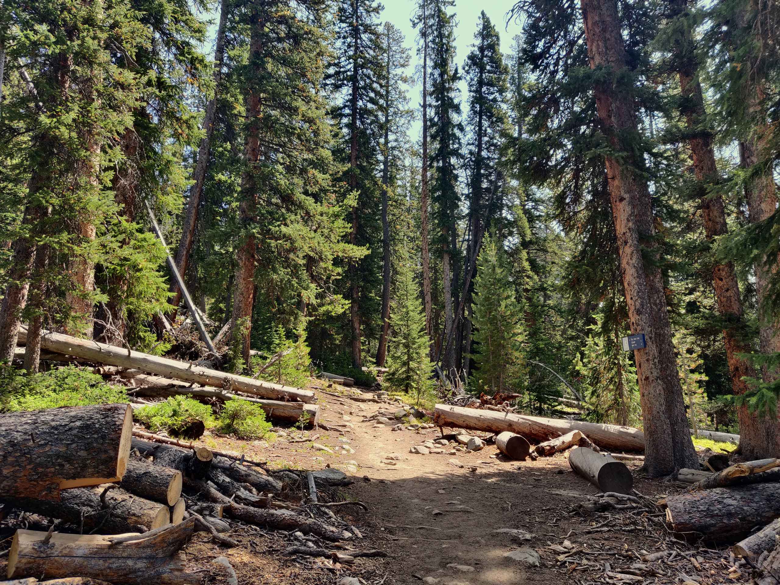 alt text for small image