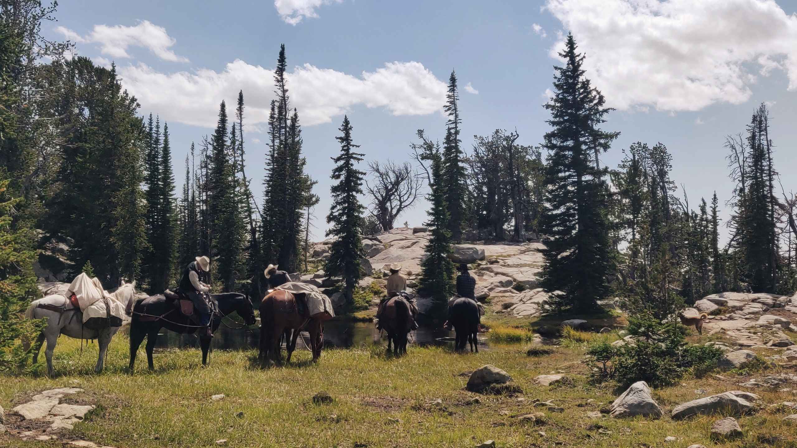 alt text for small image