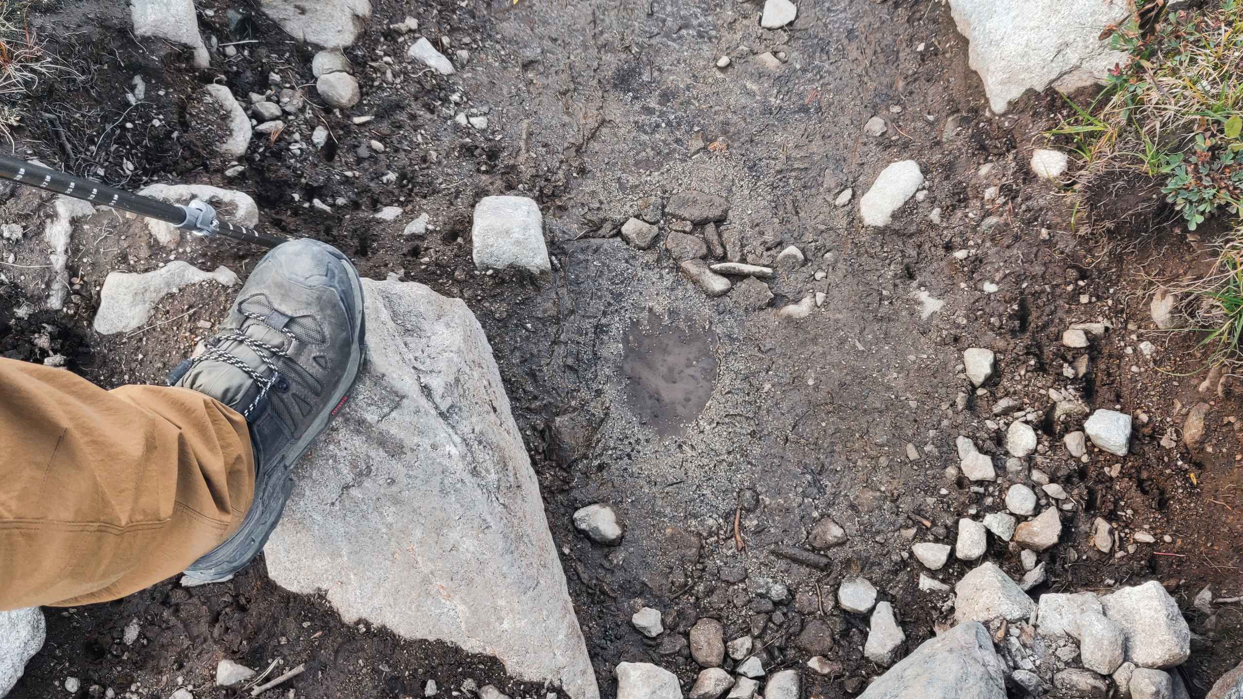 alt text for small image