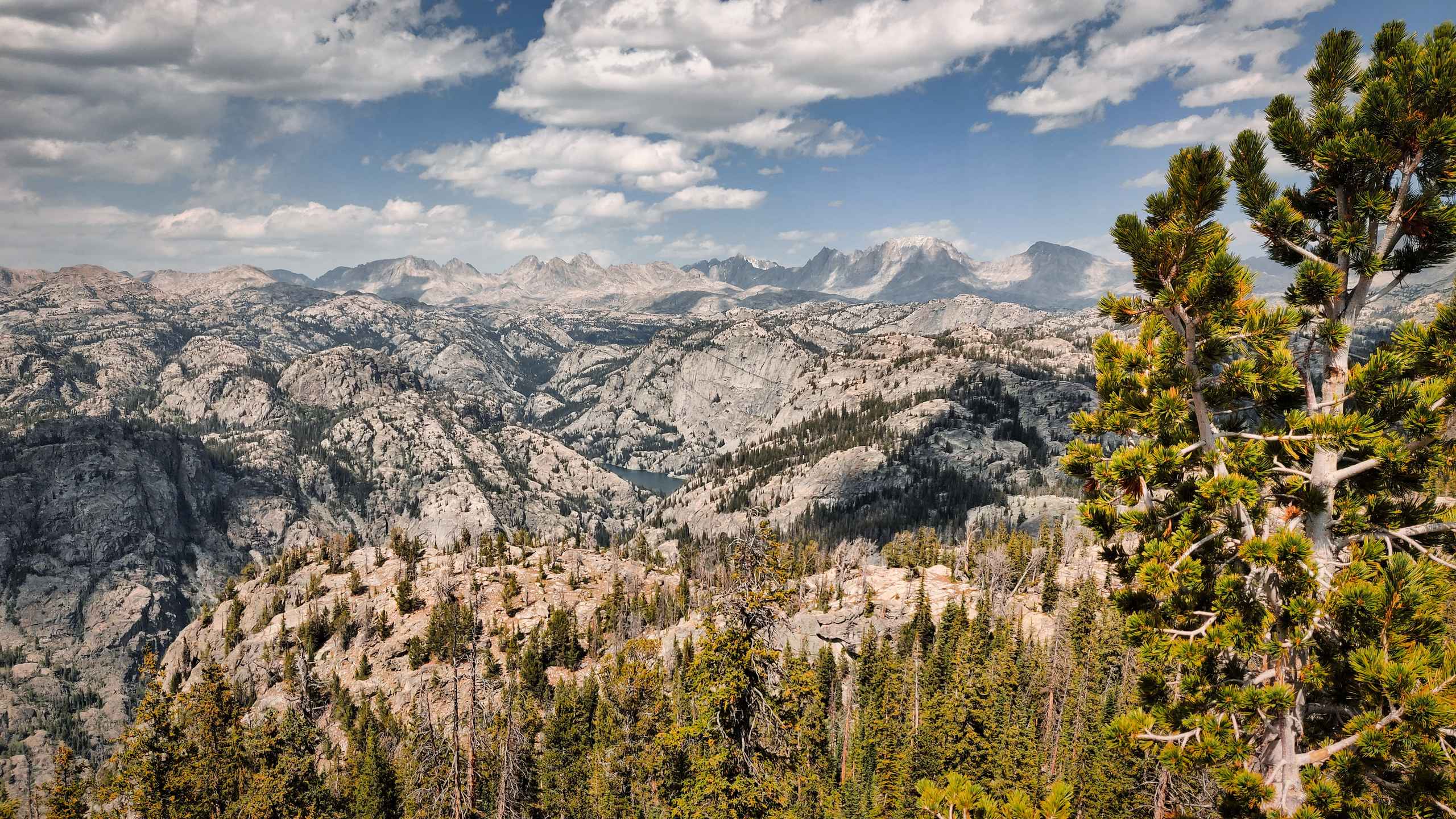 alt text for small image