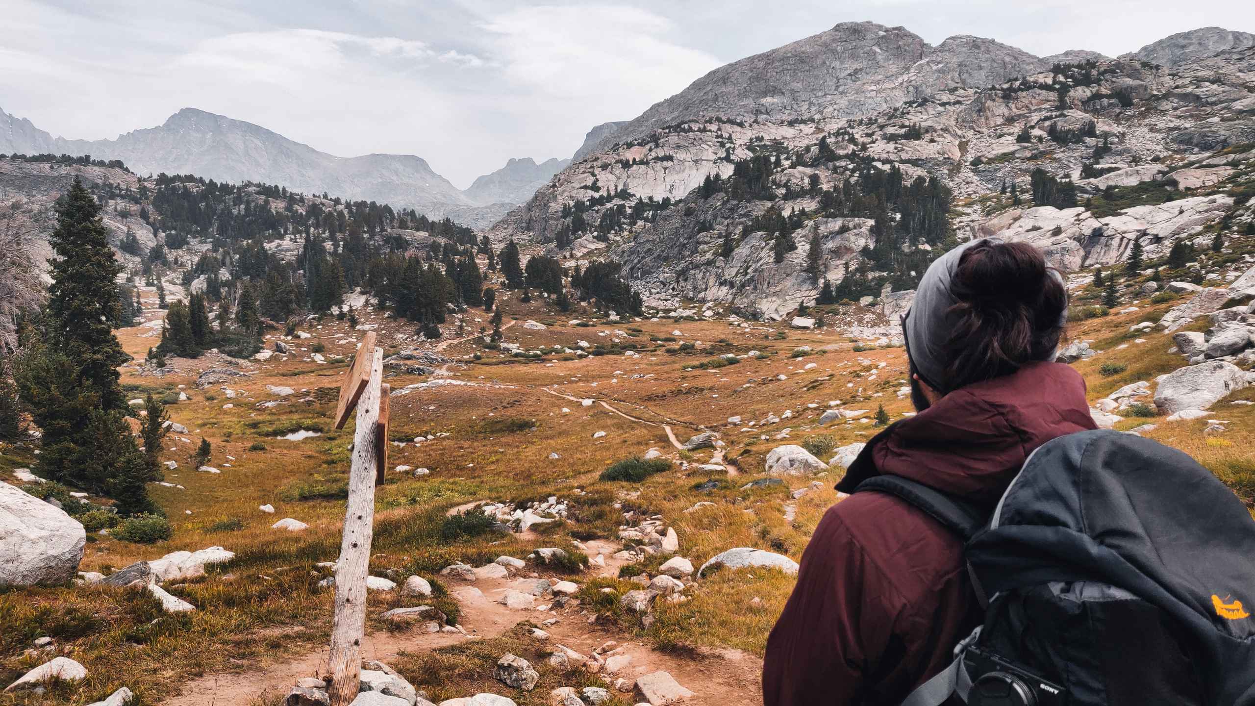 alt text for small image