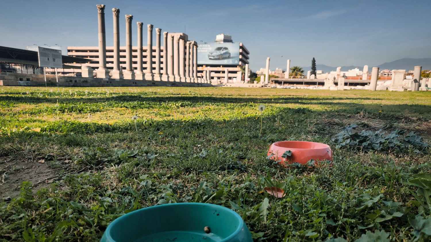 alt text for small image