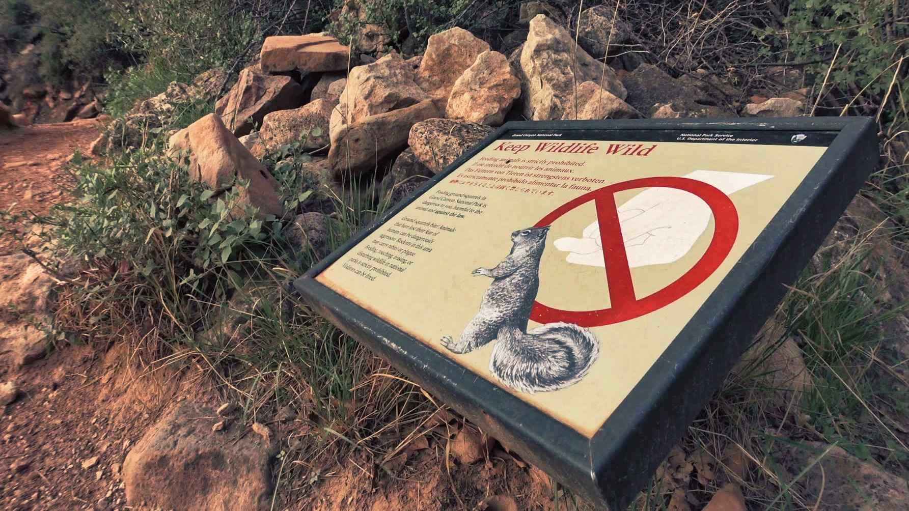 alt text for small image