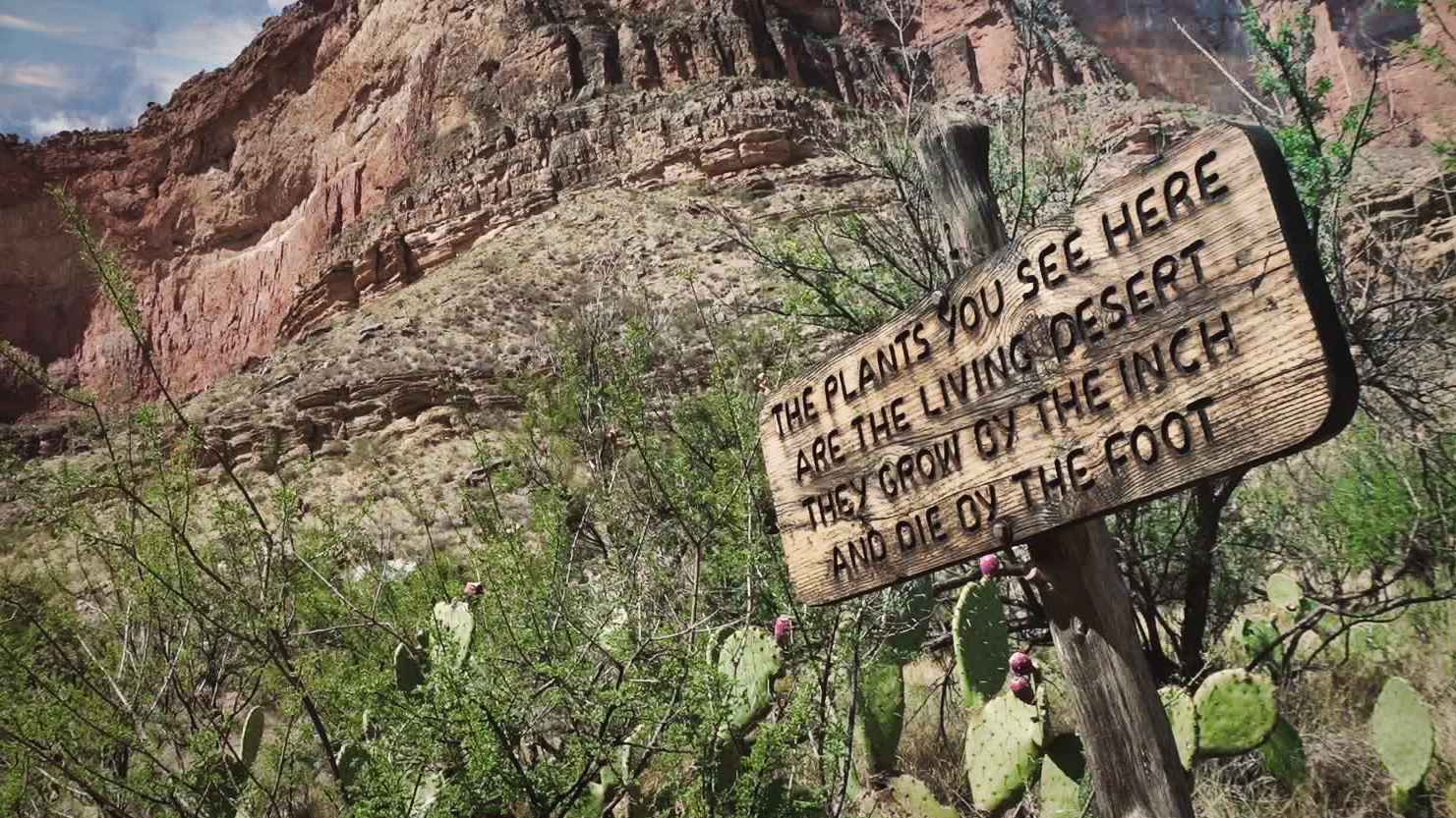 alt text for small image