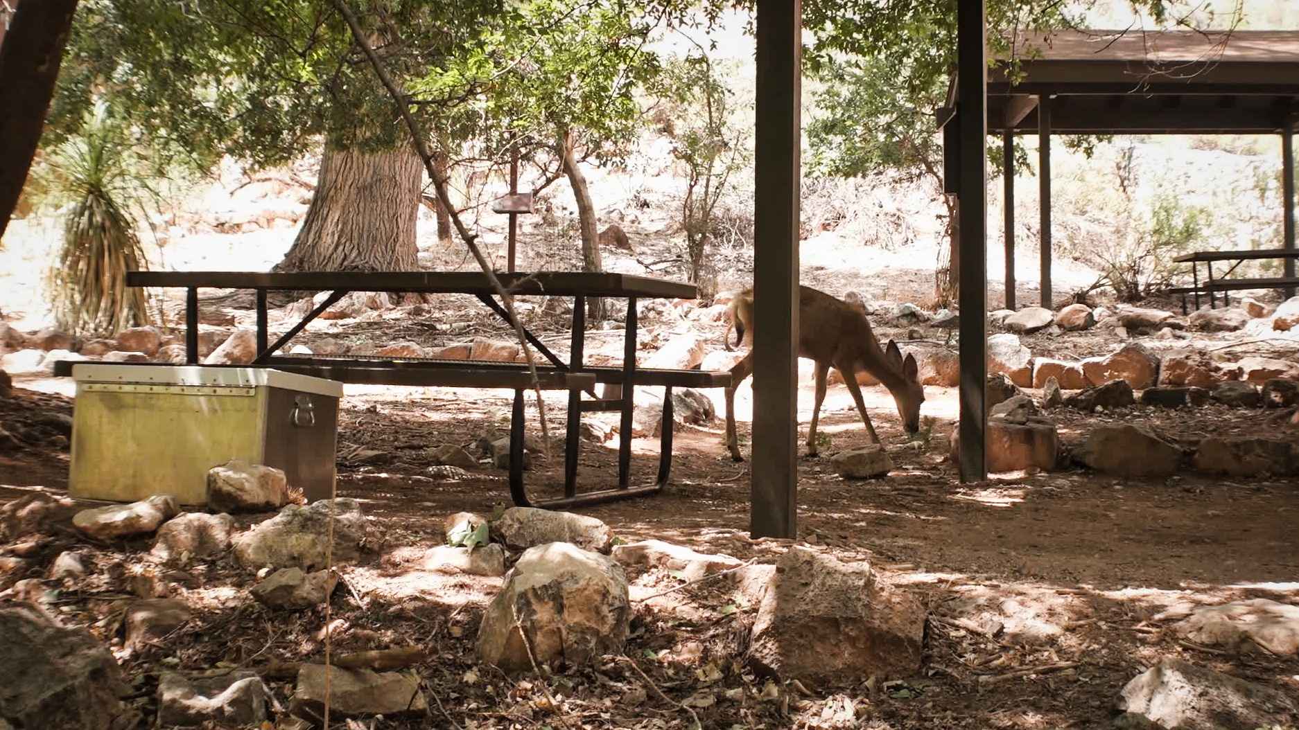 alt text for small image