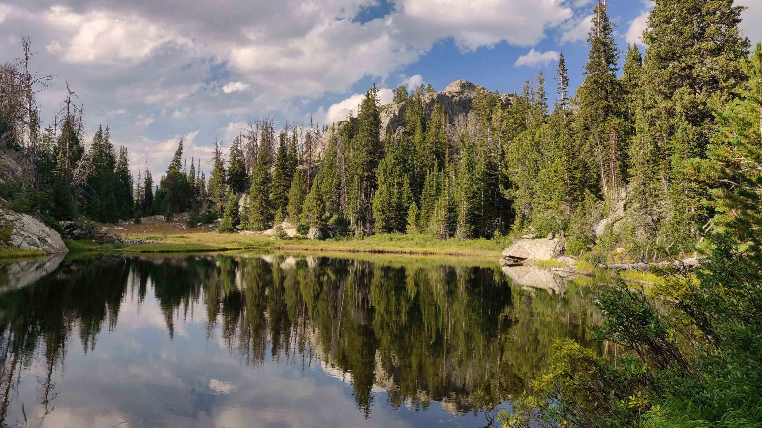 alt text for small image