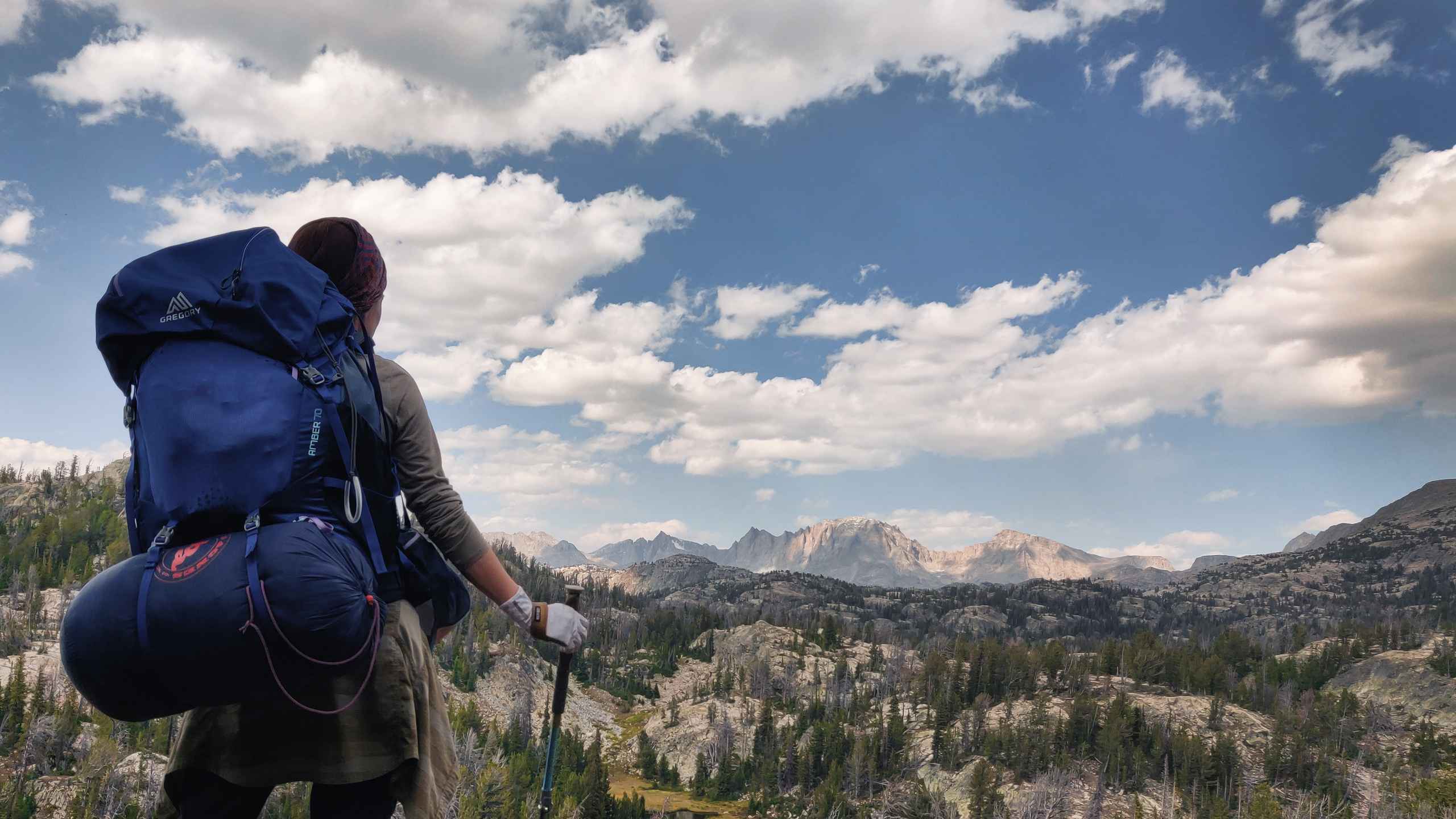 alt text for small image