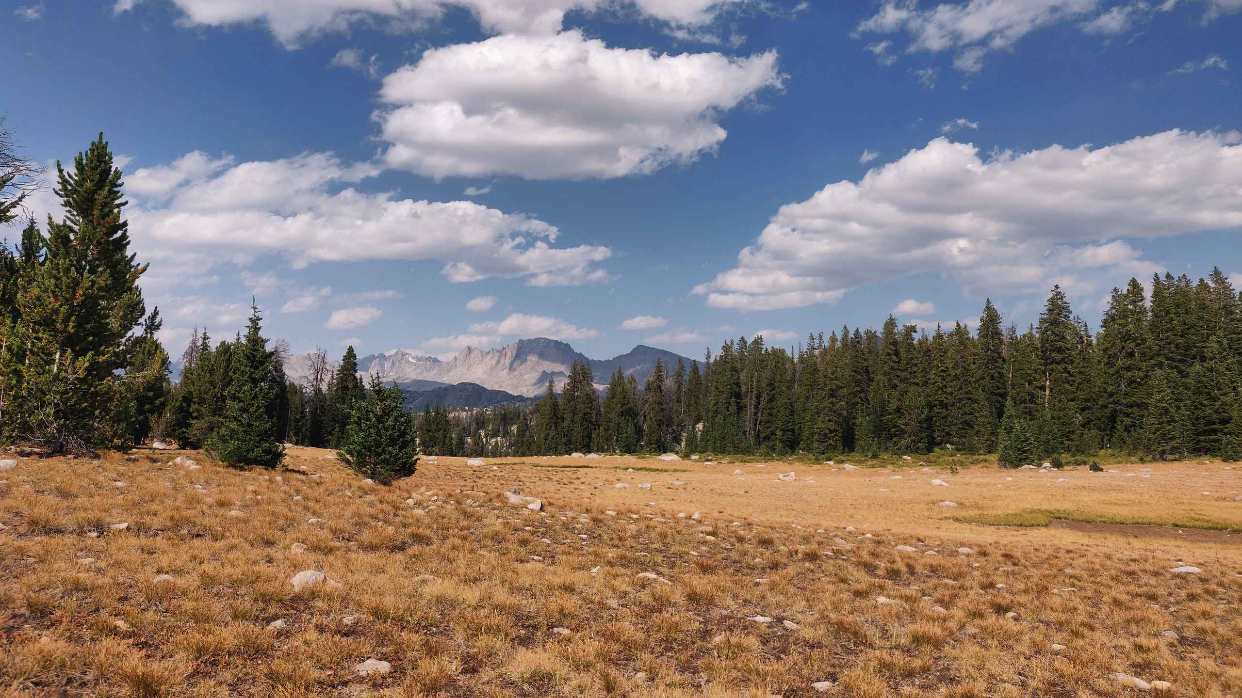 alt text for small image