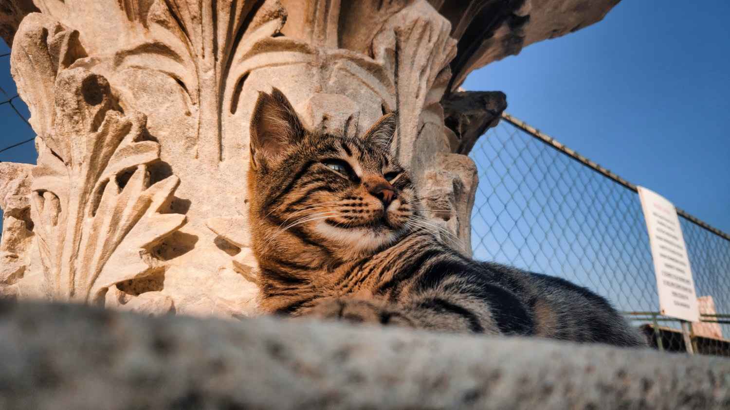 alt text for small image